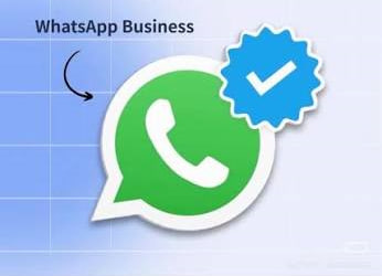 WhatsApp business商业版 --- 定制蓝V